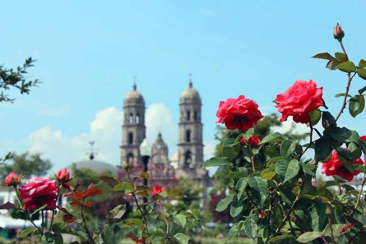 Zapopan Jalisco. Foto: Alejandra Maria Ortiz Arellano