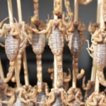 comida_china_j