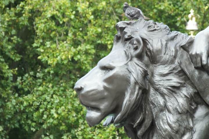 Estatua en una fuente cerca del Palacio de Buckingham Foto James Cullen