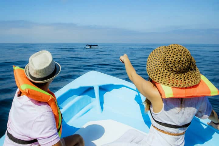 Avistamiento de ballenas.Qué hacer en San Blas Nayarit.Foto.Visita Tepic.8