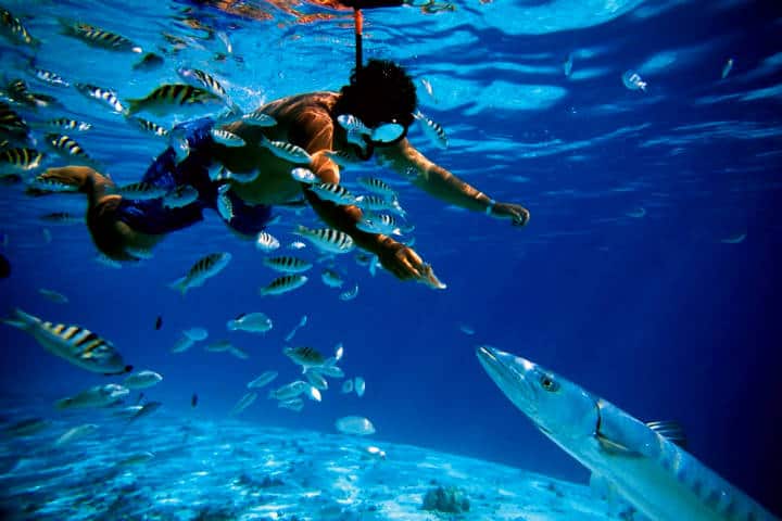 Snorkel en Mahahual, Quintana Roo. Foto Bacalar Travel & Adventure Tours.