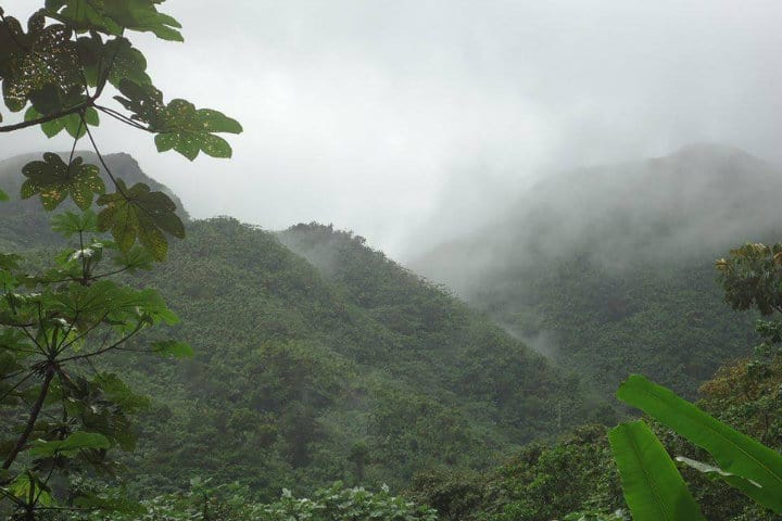 Bosque Nacional El Yunque. Río Grande. Foto Reyes Ester 3
