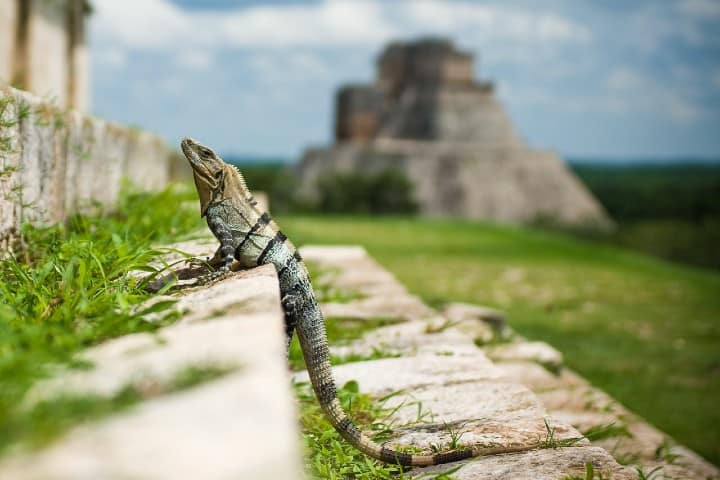Uxmal, Yucatán. Foto: Marv Watson