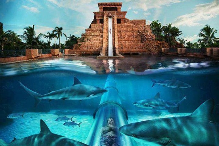 Hotel Atlantis. Foto: Bindass Vacaciones en Atlantis Las Bahamas
