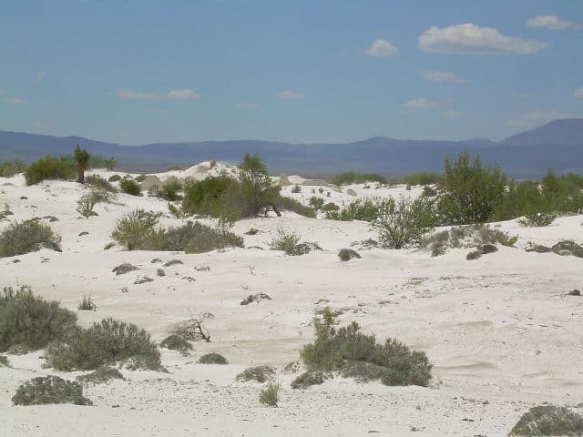cuatro ciuenegeas01