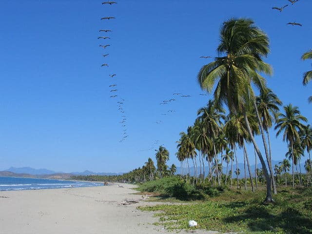 ixtapa01