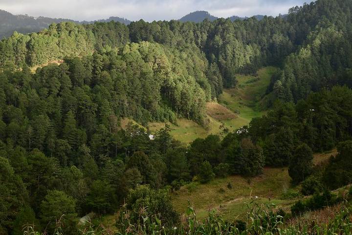Sierra de Oaxaca
