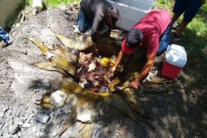 ¿Cómo se prepara la barbacoa? Una impresionante mezcla de sabores