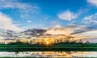puesta de sol en Everglades Florida. Foto. FunkWD