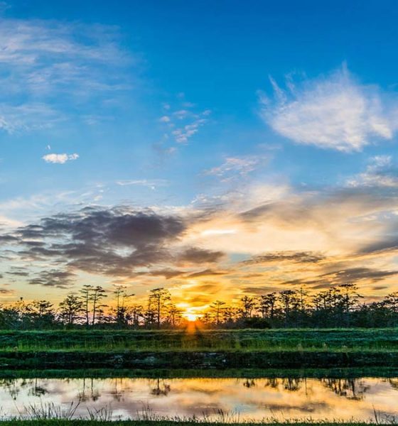puesta de sol en Everglades Florida. Foto. FunkWD