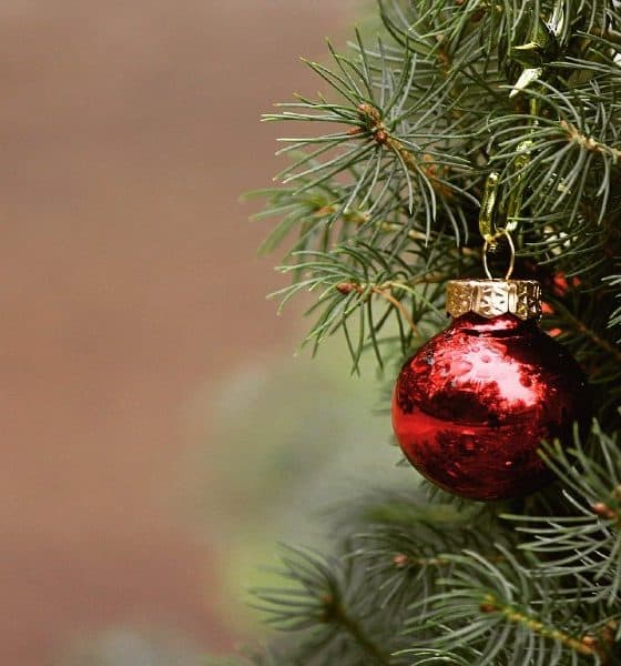 Árbol de navidad Foto TanteTati