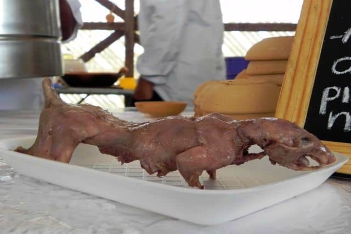 Comer rata en Guanajuato. Foto Archivo. 