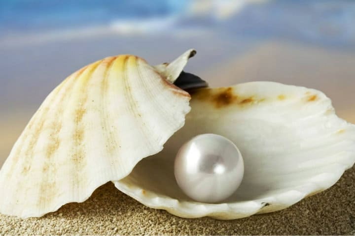 Granja de perlas en Cozumel. Foto Just CheckIn