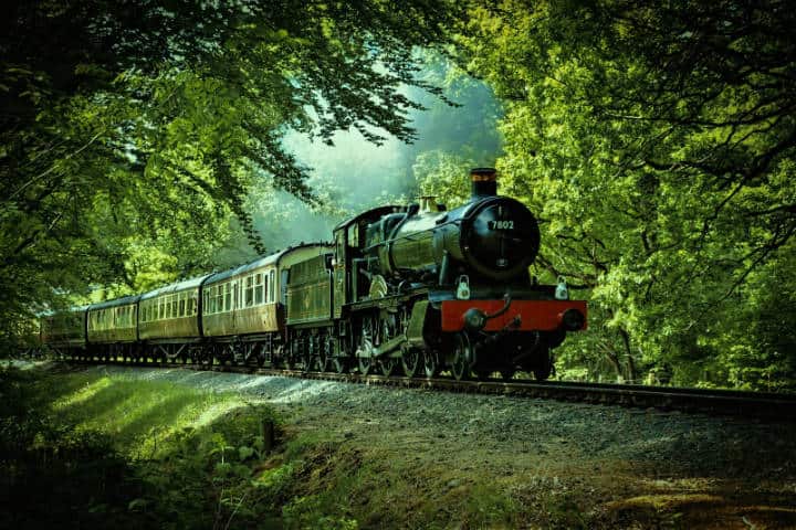 Tren rojo y negro pasando através de bosque. Inglaterra. Foto Denis Chick 2