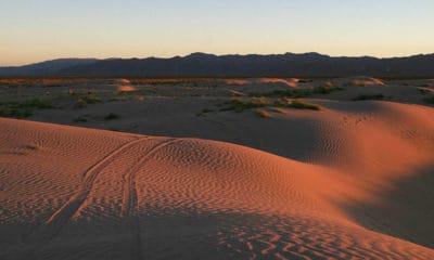 Las dunas. Imagen: Coahuila. Archivo