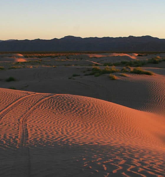 Las dunas. Imagen: Coahuila. Archivo