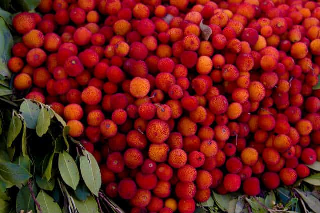 Fez Marruecos frutas foto Ol lO