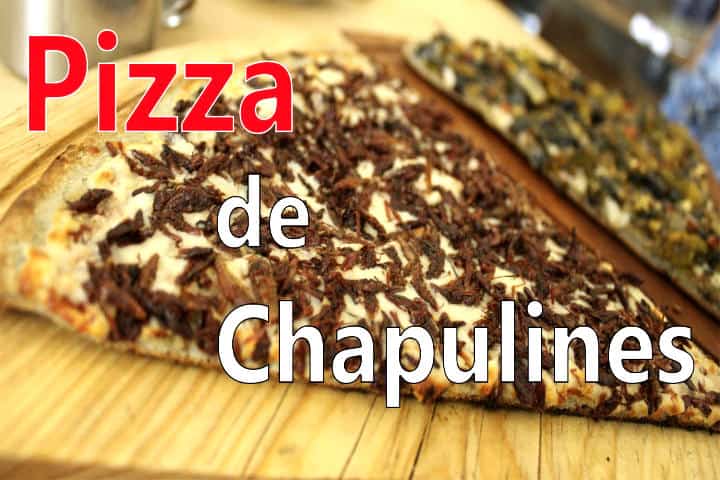 Los chapulines, un gran platillo de la gastronomía mexicana / ElSouvenir