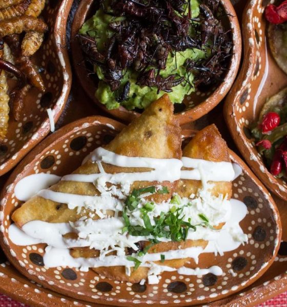 Time Out México Foto: Los chapulines, un gran platillo de gastronomía mexicana