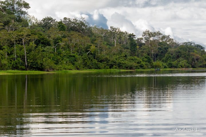 Amazonia peruana. Creditos Andoni L