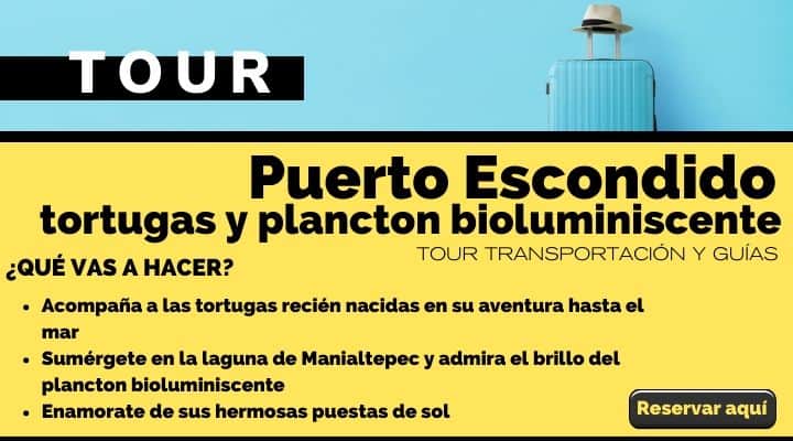 Tour Puerto Escondido, tortugas y plancton bioluminiscente. Arte El Souvenir
