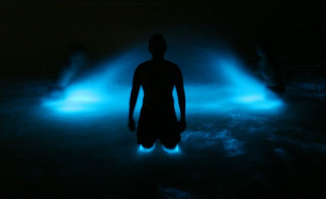 bioluminiscencia-puerto-escondido-08