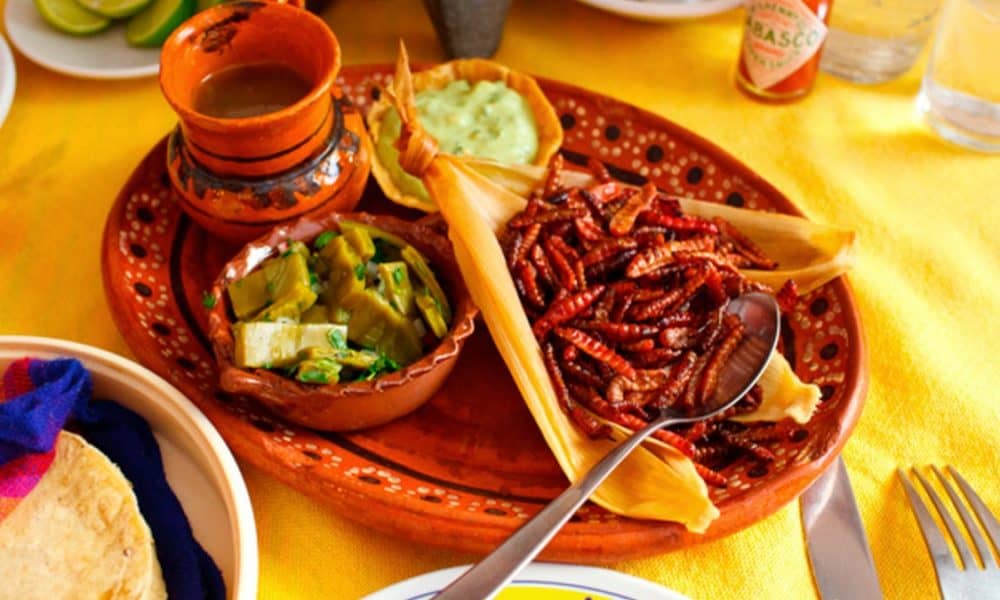 Los Insectos comestibles de México | El Souvenir