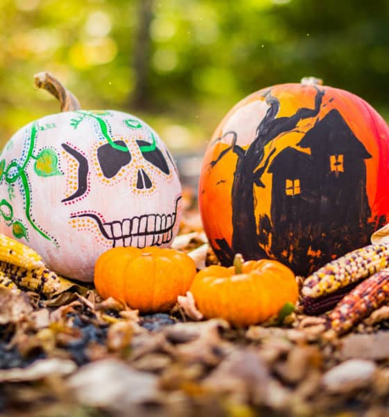 Portada. Diferencia entre Halloween y Día de Muertos. Foto: Drew Hays