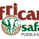 Portada.Video de Africam Safari.Foto.Africam.myshopify