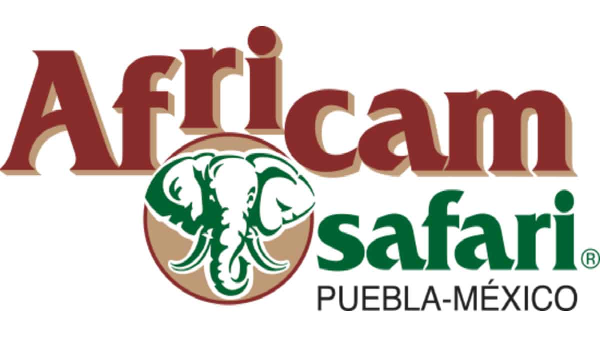 Portada.Video de Africam Safari.Foto.Africam.myshopify