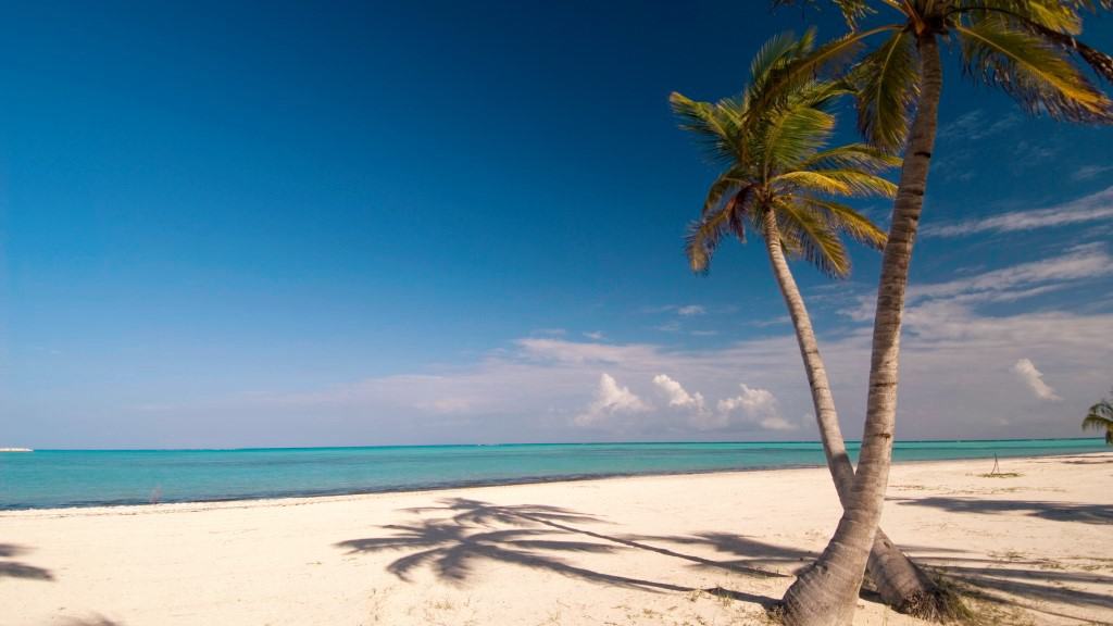 punta cana turismo