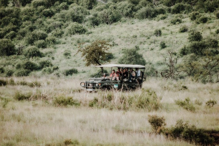 Safari fotográfico en Sudáfrica