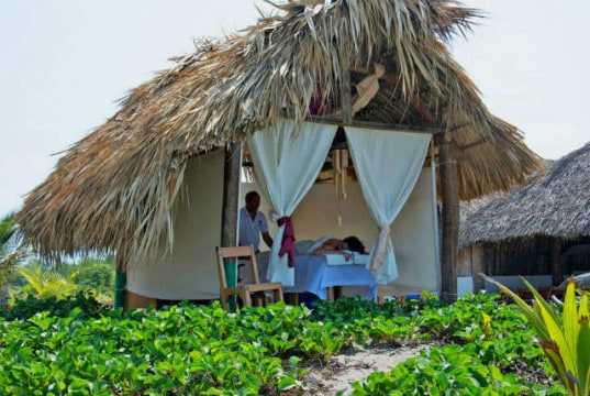 ¿qué Hacer En El Madresal Chiapas El Souvenir 