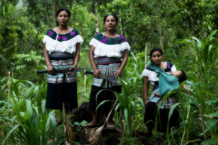 ¿Qué hacer en El Madresal Chiapas?