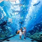 dubai zoo underwater