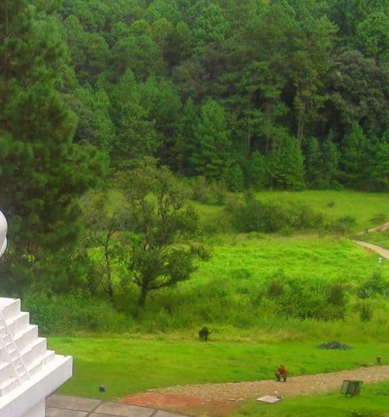 Stupa de la Paz en Valle de Bravo