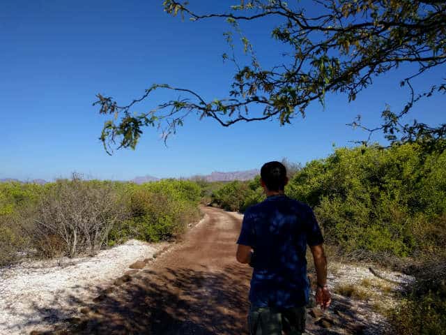 Estero del soldado sonora 3