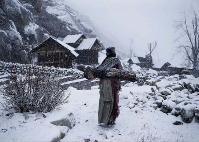 La vida remota a -21 grados de Mattia Passarini