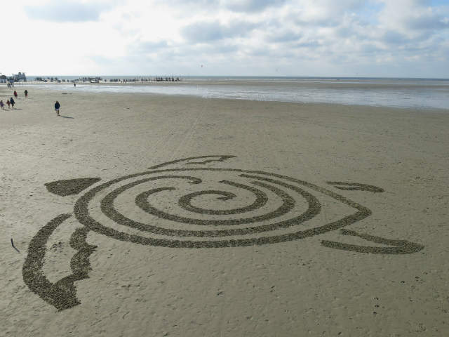 Beachbot dibuja una tortuga. Foto: Archivo.