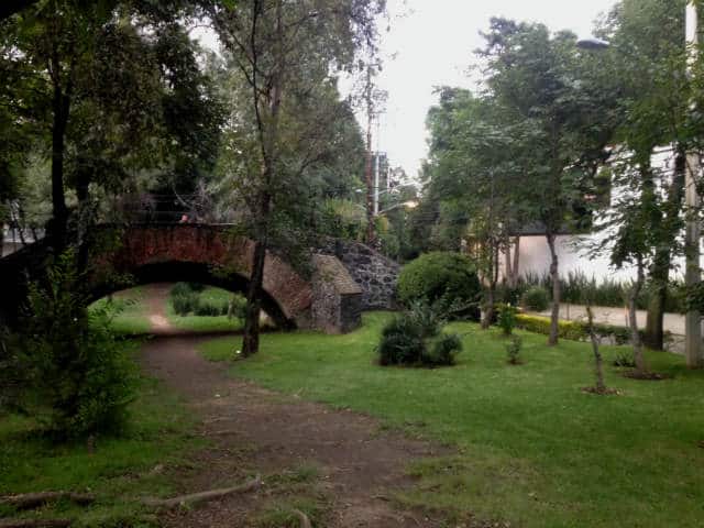 calle Rio Magdalena cdmx 13