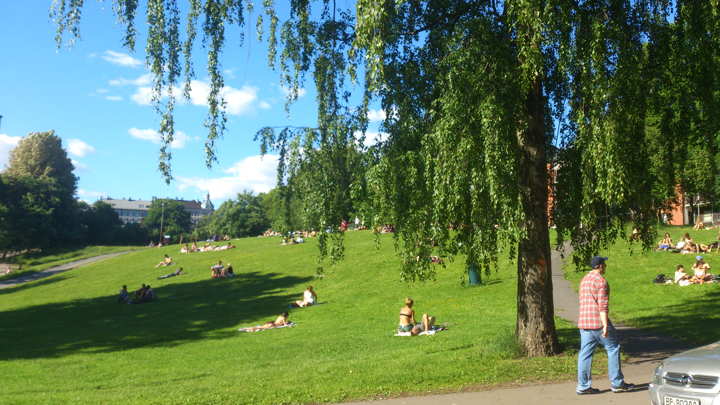oslo verano (6)