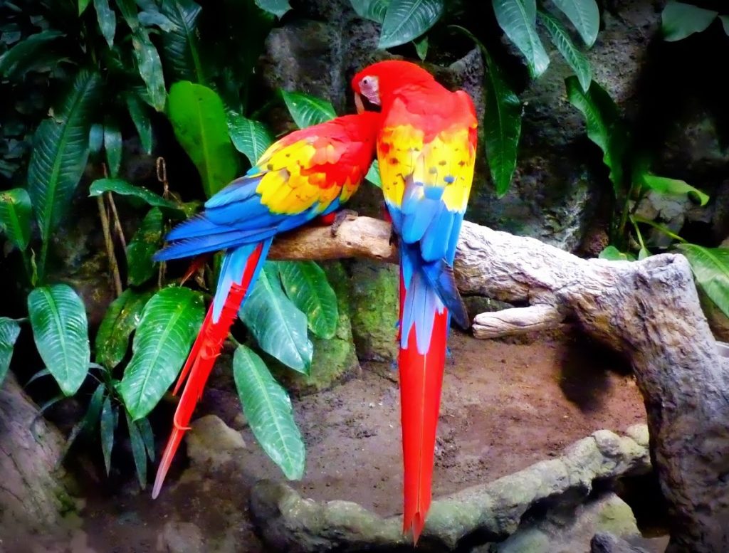 selva-los-tuxtlas-acuario-veracruz-foto-vero-travel-8