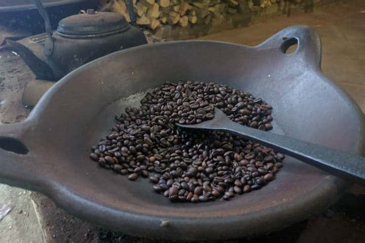 kopi-luwak-indonesia-15