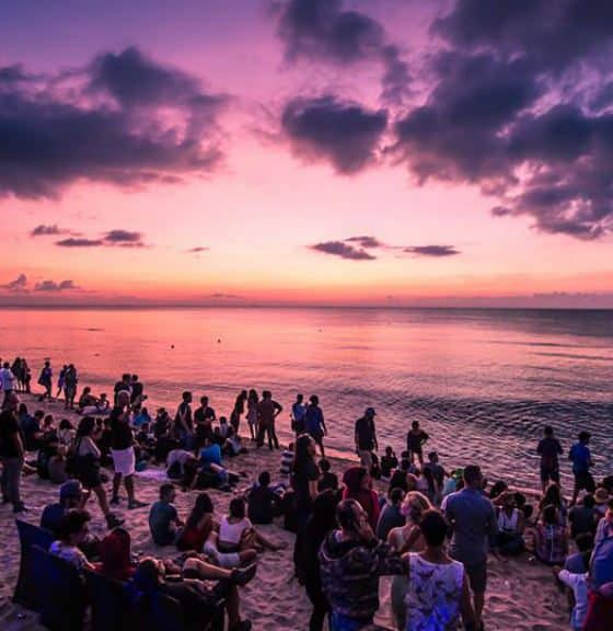 bpm-2017