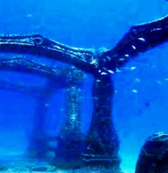 port-royal-underwater-8