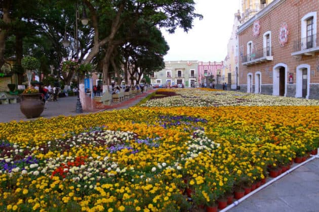 Fin de semana en Atlixco Puebla, un pueblo lleno de colores