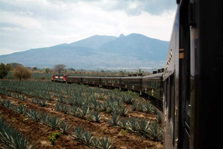 Tren de José Cuervo express