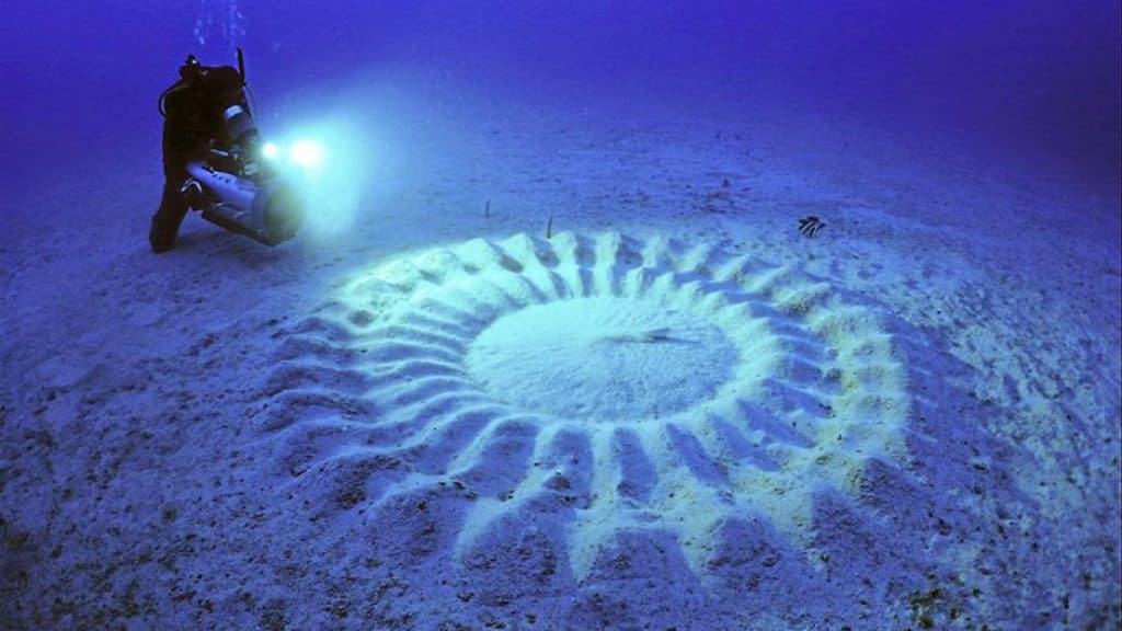 circulos marinos de japon (1)