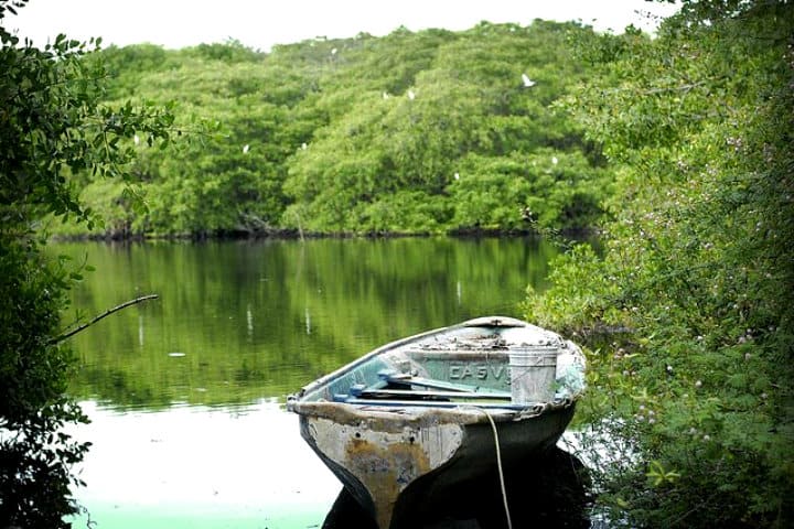 la barca jalisco