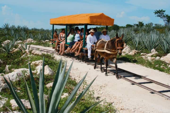haciendas yucatecas sotuta 01